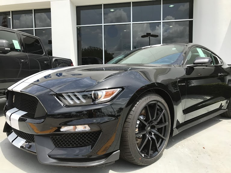 Parks Ford of Wesley Chapel Exotic Car Dealer Wesley Chapel Florida